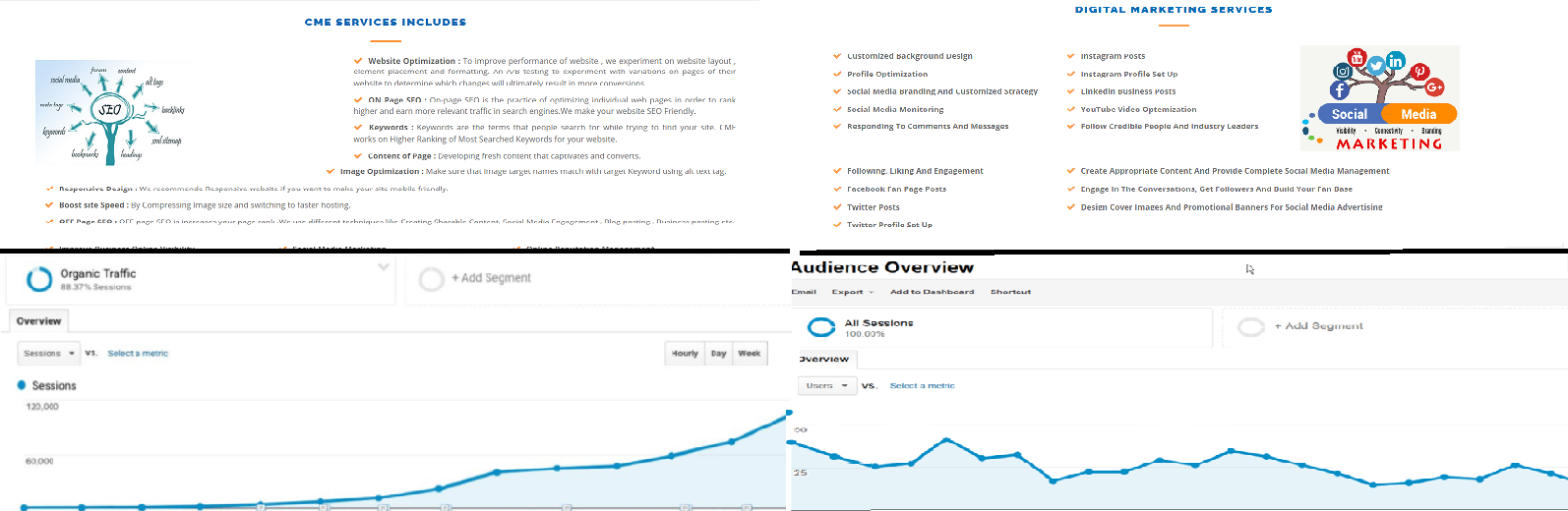 SEO Case Study